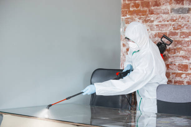 Mount Hermon, CA Mold Removal Company